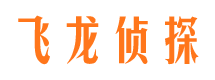 茫崖侦探社